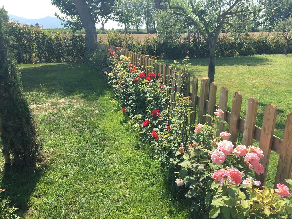 B&B Antica Dimora San Giuliano Terme Bagian luar foto