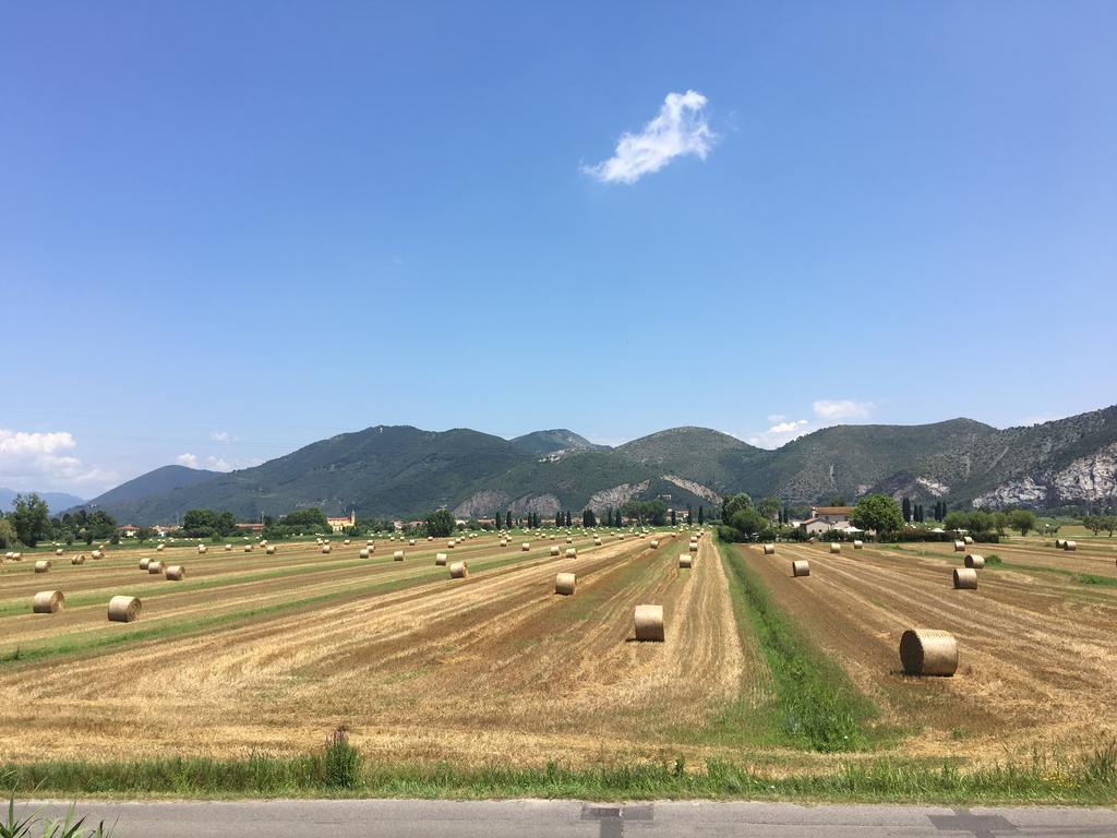 B&B Antica Dimora San Giuliano Terme Bagian luar foto